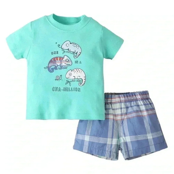 Baby Boy Infant Short Sleeve Chameleon Outfit Tops T-Shirt and short (Size 9M) - Picture 1 of 7